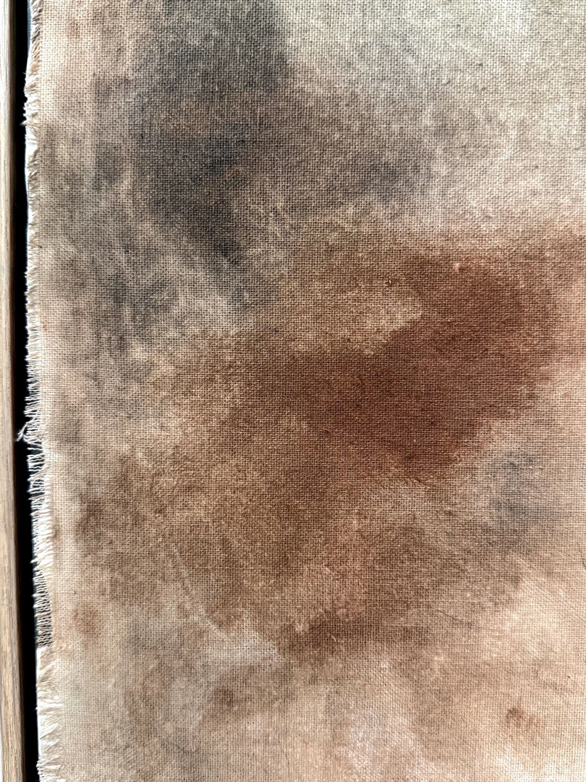 Monika Zielińska, Mgła — fragment